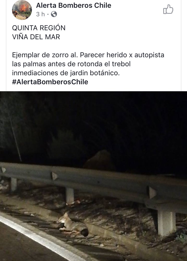 Jess_Chartreuse's tweet photo. Atención @zoologicoquilpu @ZooQuilpue #animalistas #animalistaschile #viñadelmar @carokieva https://t.co/KoJVIgk1Mj
