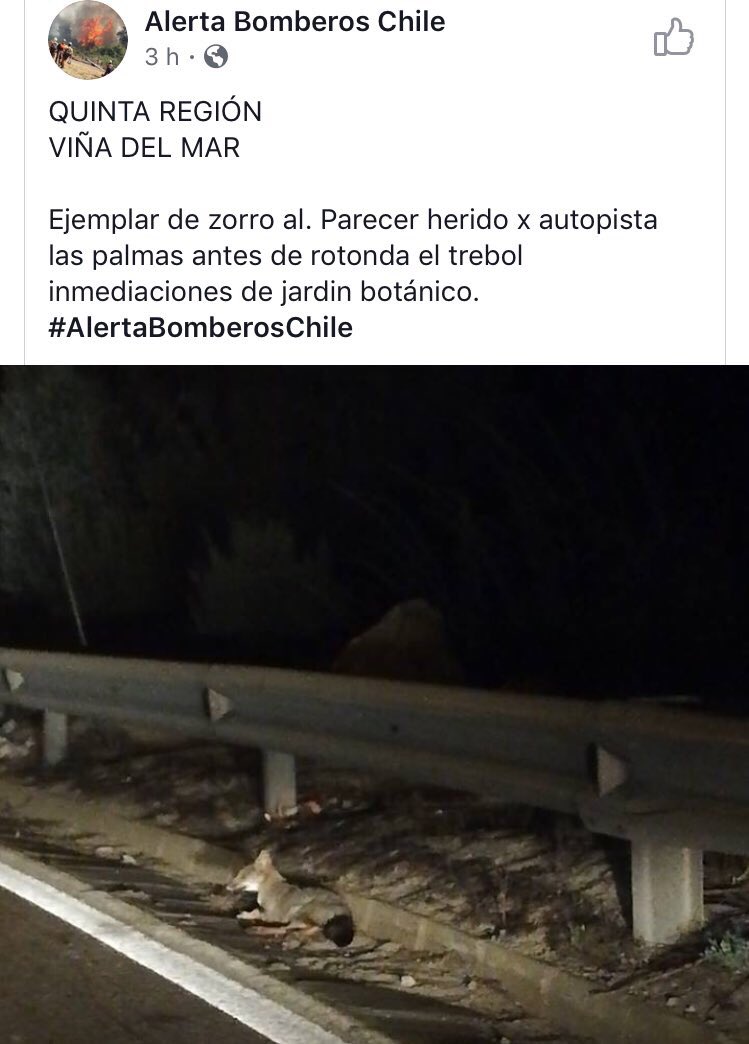 Jess_Chartreuse's tweet photo. Favor ayuda ! @biobio @24HorasTVN @adnradiochile https://t.co/IM4zJC6pqC