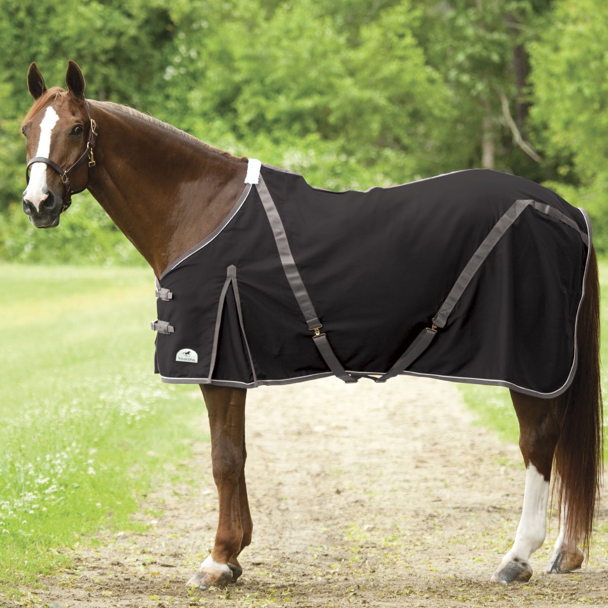Smartpak3's tweet image. Looking for new products for the summer?! Check out a few of my tried and true favorites from @SmartPak #Smartpak #Equine #Summer2019 smartpakfan301.weebly.com/blog-2.html
