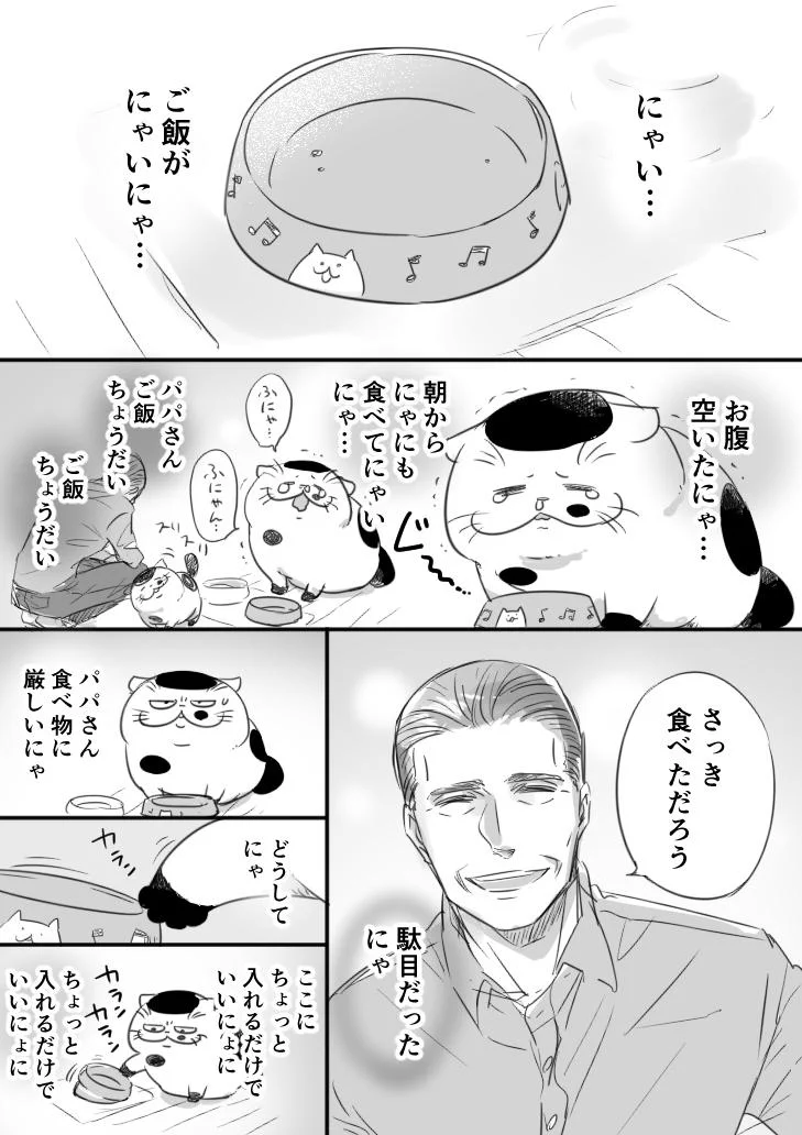 食べたばかりなのにご飯を要求する猫…優しいおじさまはあげちゃうよねww