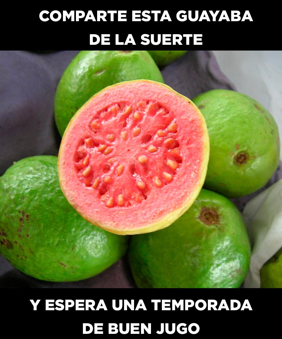 lopezandres's tweet photo. Comparte la guayaba de la suerte. ¡La #GeneracióndeLaGuayaba se toma Bogotá 😁! Consigue tus entradas antes de que se desactive el -25% de descuento: https://t.co/UHnnPfHuMr #LaPelotadeLetras Renovada y #LlegarAMarte 😁#15añosdeLaPelotadeLetras. #conectandogeneraciones. https://t.co/OyPmB7AaWY