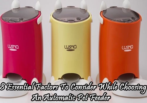 lusmo pet feeder