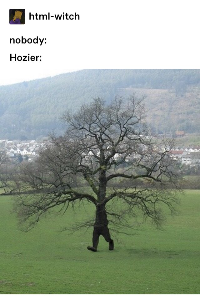 stacyneth25's tweet photo. @Hozier https://t.co/pALFF6Zu6J