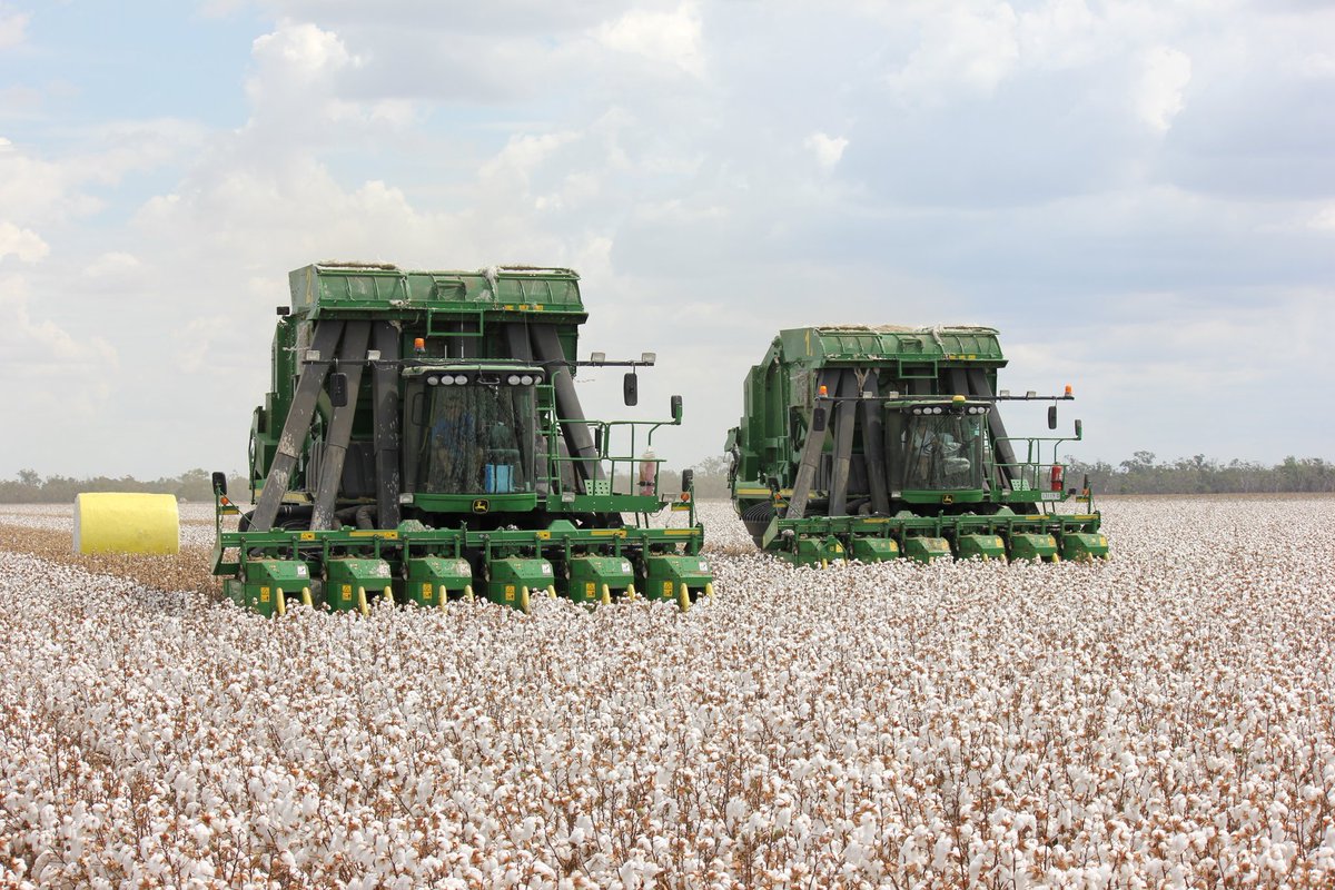 RT's appreciated.
Long shot but have a CP690 cotton picker available for work in any area for a month after Easter.
Thank you!
