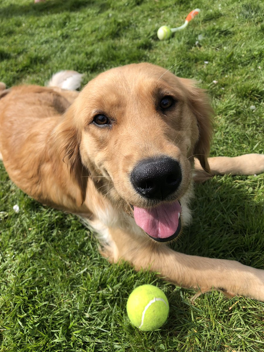 Allyroberts7's tweet photo. But imagine being this cute 😆 https://t.co/MqRVLGjB3Q