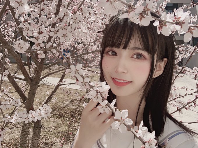 コスプレイヤー肃雨のTwitter画像43