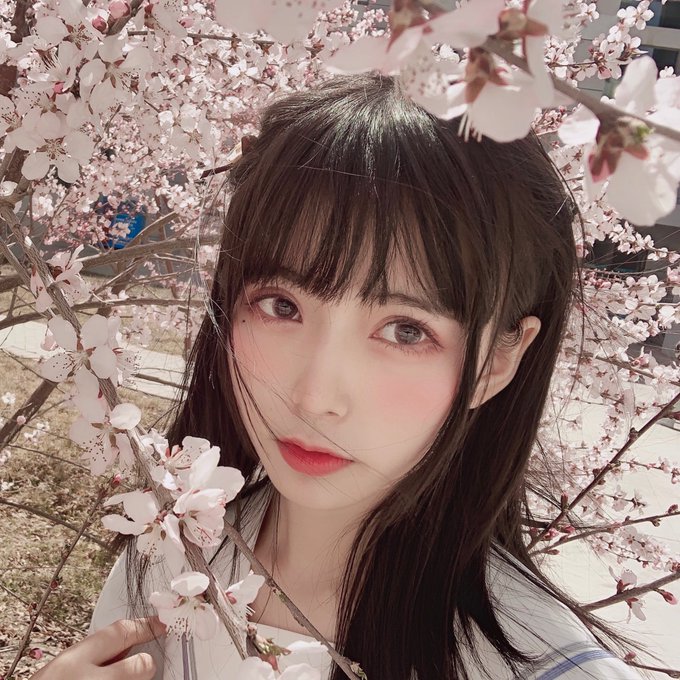 コスプレイヤー肃雨のTwitter画像41