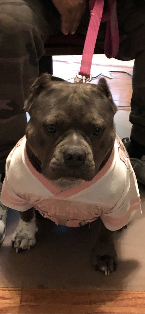 ChrisWebb1224's tweet photo. My baby SakeBlue loyal af https://t.co/iFlVnzPtnZ