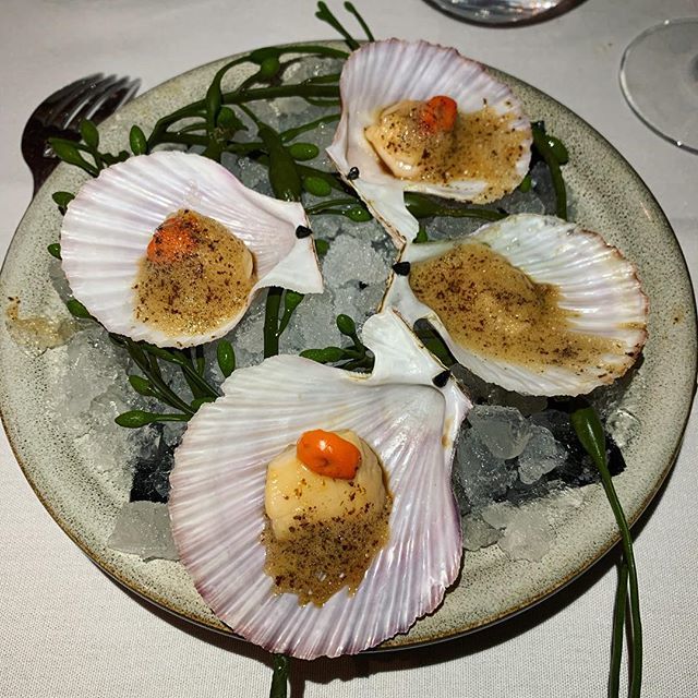 Chefs collaboration dinner by <a href="/chefbryangregg/">Bryan Gregg</a> <a href="/mikesmithlng/">Mike Smithling</a> of @paramountcc_ny and @tciszak @dennisc79 of @bluemorel
——————————
🍴: Pink Singing Scallop Crudo: scallop roe, crema, black garlic .
📍: @bluemorel .
.
.
#foodie #food #foodporn #wanderlust … bit.ly/2PeGjDH