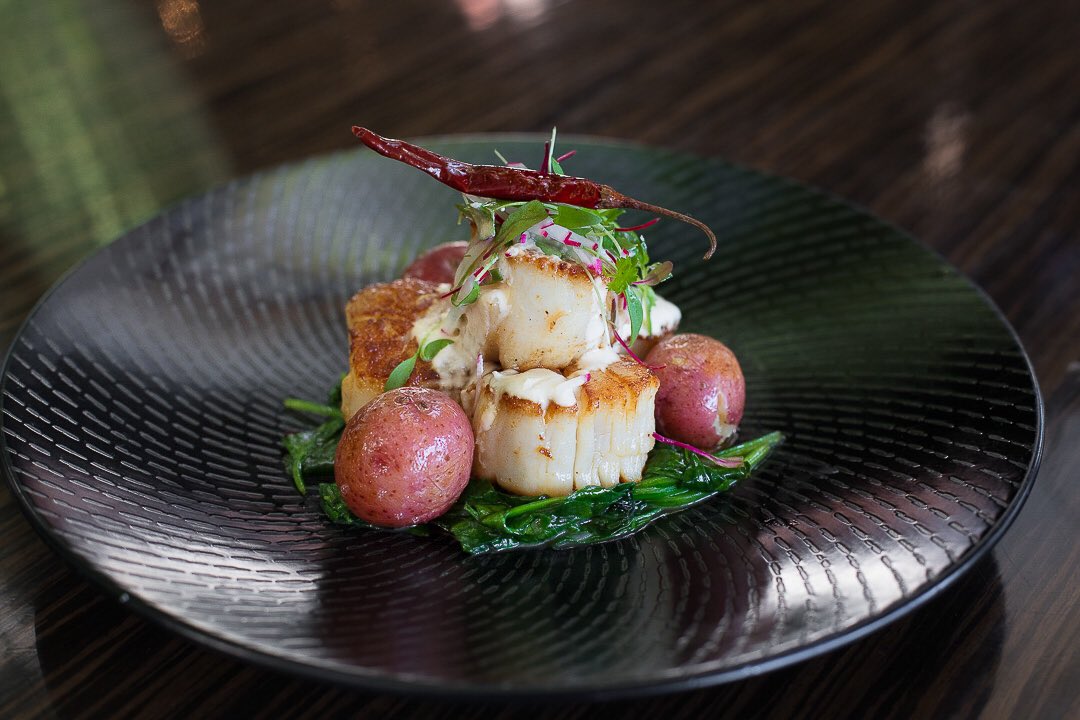 Javier's (@javierscantina) on Twitter photo A crowd-pleaser dish for the warm weather: Callitos Mazatlan- U-10 chemical free Premium Wild Scallops, pan seared and served on a bed of sauteed spinach with baby potatoes topped with creamy chipotle sauce. Photo <a href="/SnapTaste/">SNAP TASTE</a> A crowd-pleaser dish for the warm weather: Callitos Mazatlan- U-10 chemical free Premium Wild Scallops, pan seared and served on a bed of sauteed spinach with baby potatoes topped with creamy chipotle sauce. Photo <a href="/SnapTaste/">SNAP TASTE</a>