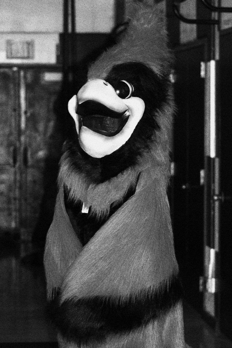 Lincoln High School tweet media