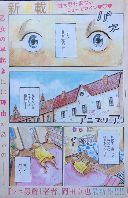 愛しのアニマリア 岡田卓也 Horizon Ok さんのマンガ一覧 いいね順 ツイコミ 仮 愛しのアニマリア 岡田卓也 Horizon Ok さんのマンガ一覧 いいね順 ツイコミ 仮