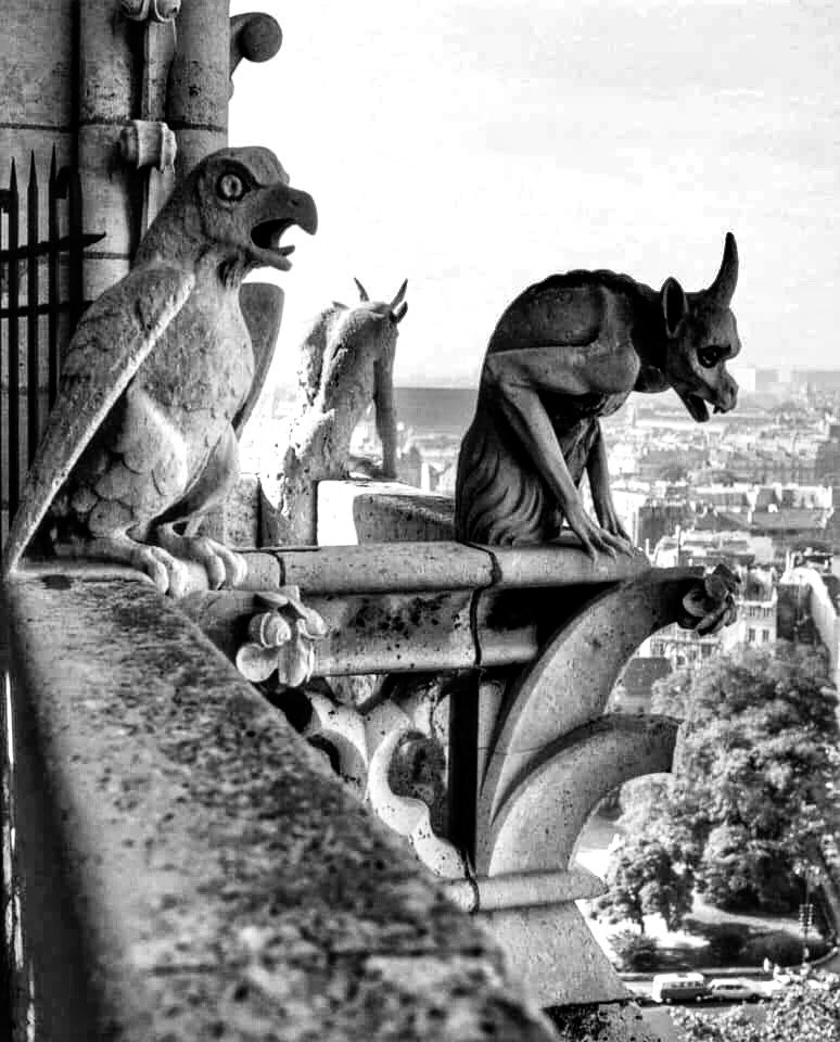 cricowally's tweet photo. Perché ....why....pouquoi..... porque..... perquè......da.....ponieważ ..... eftersom......çünkü......בגלל.... なぜなら..... επειδή..... किनभने.....???? #notredamedeparis #myphotography #incendio #distruzione #bellezzeperdute #paris https://t.co/MP05oruQVI