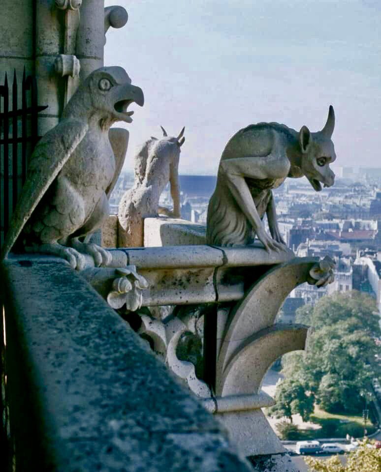 cricowally's tweet photo. Perché ....why....pouquoi..... porque..... perquè......da.....ponieważ ..... eftersom......çünkü......בגלל.... なぜなら..... επειδή..... किनभने.....???? #notredamedeparis #myphotography #incendio #distruzione #bellezzeperdute #paris https://t.co/MP05oruQVI