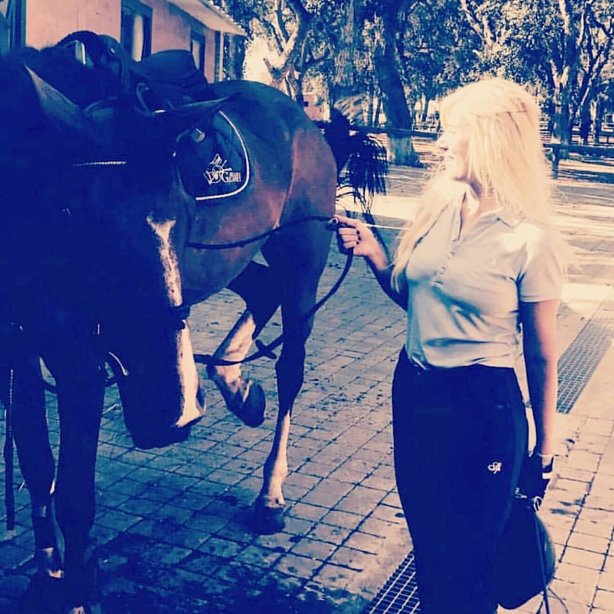 👑السلطانة امال 👑 (@amalsai24261364) on Twitter photo 