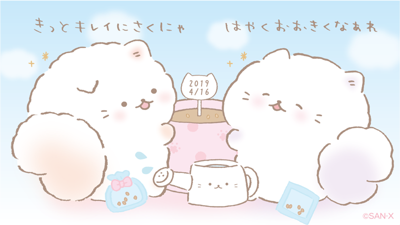 お花の種をうえたにゃ✨
きっときれいなお花が
咲くにゃ?✨✨✨
#ふんわりねころん
#ねころん
#ラベンダー