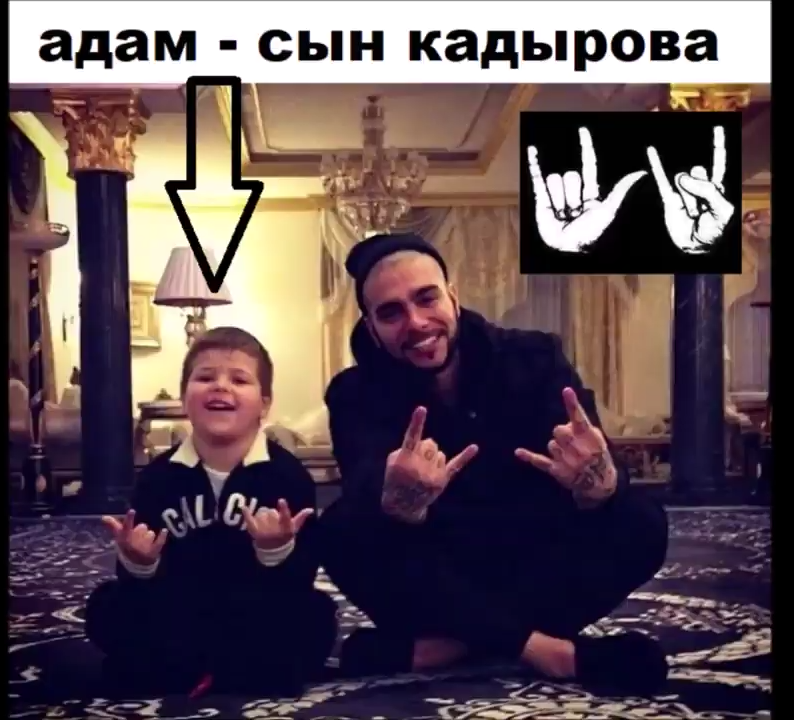 Торси .... tweet media