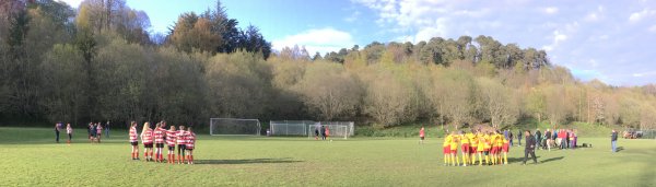 Enniskerry FC tweet media