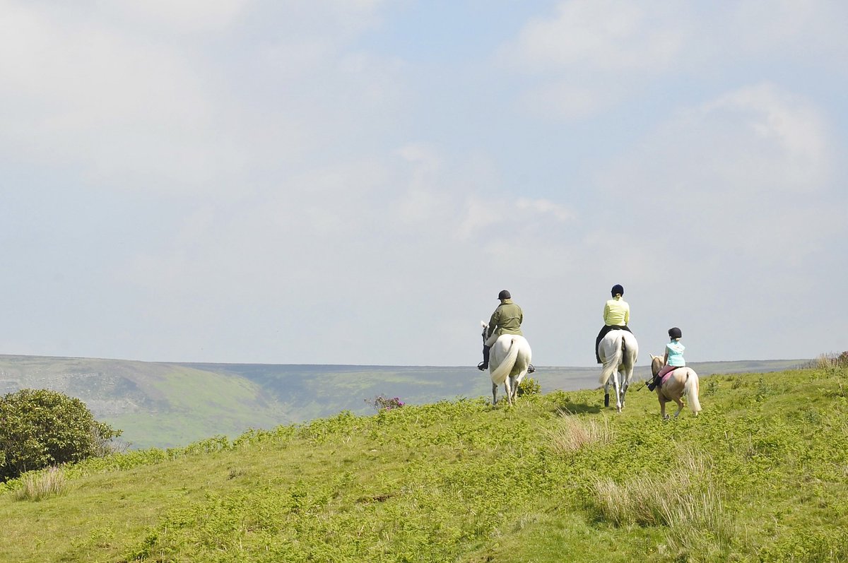 "Hacking is something horses love to do" – great #MondayMotivation from horse trainer Jason Webb #yourhorsemagazine #Hack1000Miles