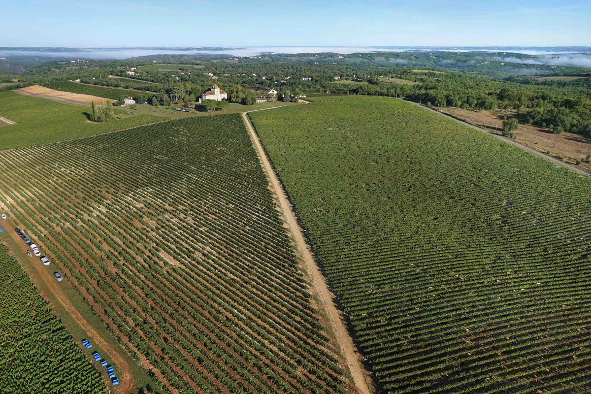 ChateauHS's tweet photo. Do you know the #amazing birthplace of #Malbec @MalbecWorldDay ? This is the #CahorsMalbec from France. Great  #MalbecWorldDay to all ! #MalbecArgentino #WorldMalbecDay #FrenchMalbec https://t.co/jthw3cCzqD
