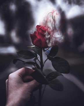 𝓓𝓪𝔂𝓵𝓲𝓰𝓱𝓽 | ลิมิตเเดก tweet media