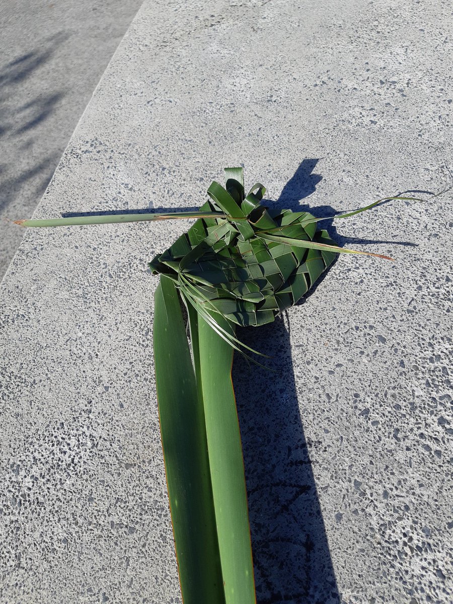 Learned more about ako today when I saw a man weaving flax at the park and asked him if I could watch. He weaved and showed me how to do what he was doing, let me try, taught me about what part of the flax to collect. Ako. Being curious and stepping outside my comfort zone.
