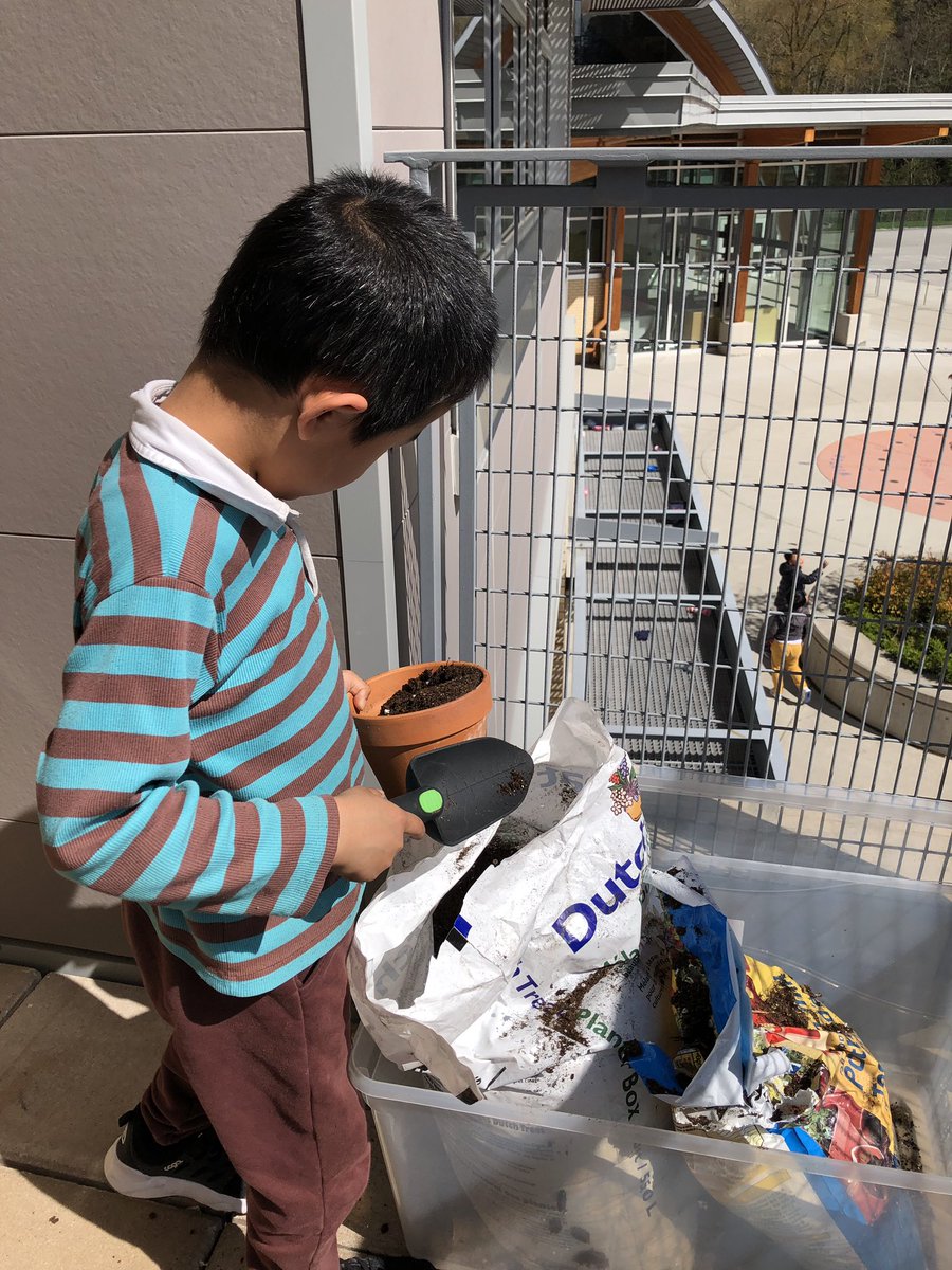 kmac_50's tweet image. Getting “Swordfern Garden” ready for spring planting @RosePointSchool @VSB39 #outdoorlearning