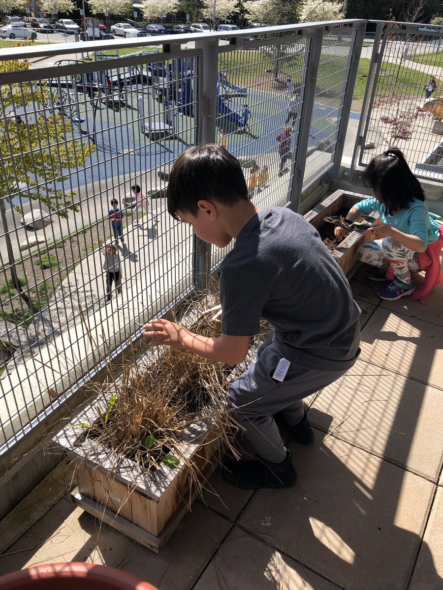 kmac_50's tweet image. Getting “Swordfern Garden” ready for spring planting @RosePointSchool @VSB39 #outdoorlearning