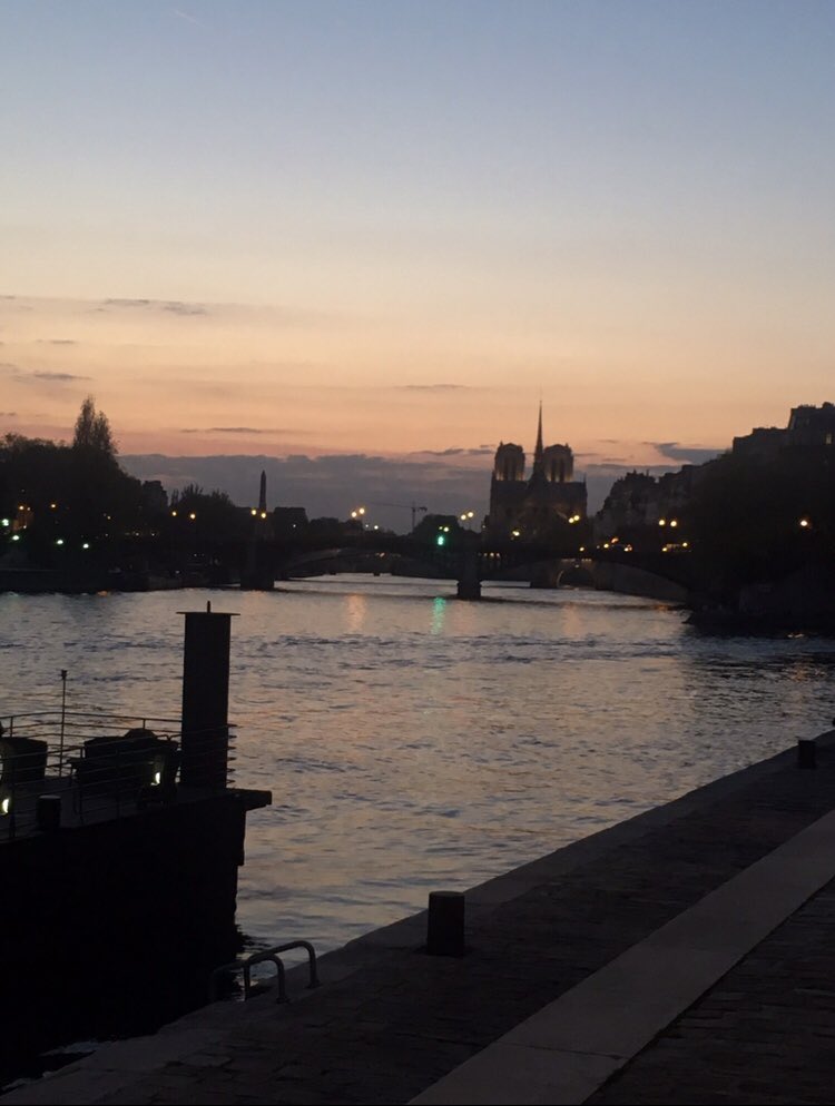 Willy_Rovelli's tweet photo. Quand un membre de sa famille a été blessé dans la nuit, on ne montre pas de photos de ses plaies, on se souvient juste de son sourire.
A bientôt jolie dame ❤️
#Notre_dame_de_Paris https://t.co/6A9dHlj5mm