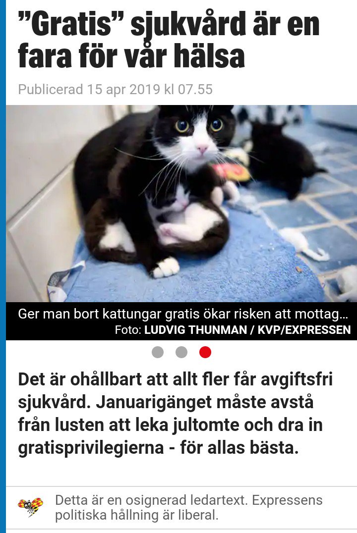 Republiken's tweet photo. Liberaler: "Åh men guu' asså vilken starkt text om det svenska klassamhället. Verkligen!"
Också liberaler: "Ingen är fri förrän alla mammor har dödats"
#klasshat https://t.co/ELdCBXie0Q