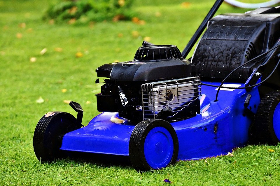 turffox's tweet photo. Prepping For Summer? Look For Professional Lawn Mowing Services Sarasota https://t.co/OCtiBq92eF https://t.co/WZBDHvDUzs