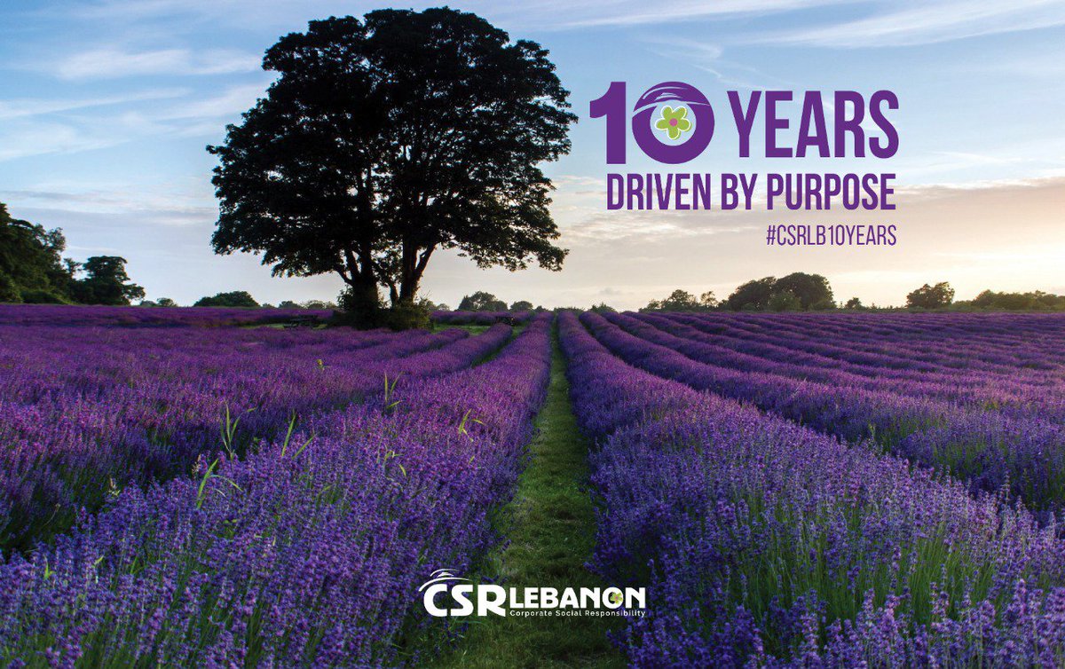 csrlebanon's tweet image. Tomorrow, we officially begin celebrating 10 years of CSR LEBANON! #CSRLB10Years  #DrivenWithPurpose #RippleEffect #CSRLB