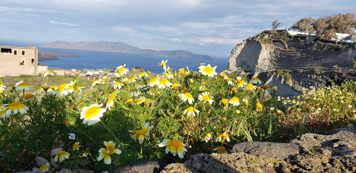 Krenner's tweet image. #Santorini #spingbreak