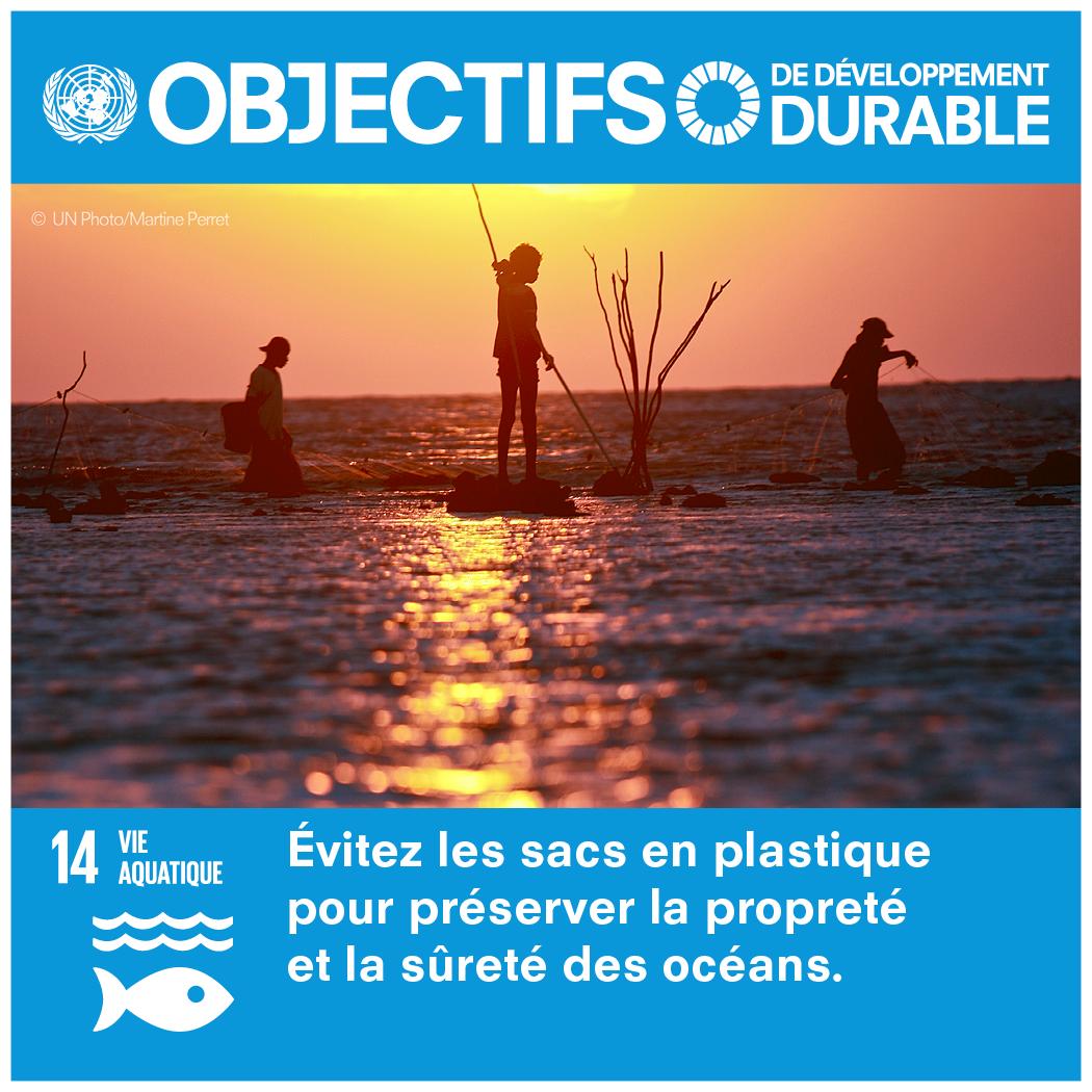 Programme des Nations Unies pour l’environnement tweet media