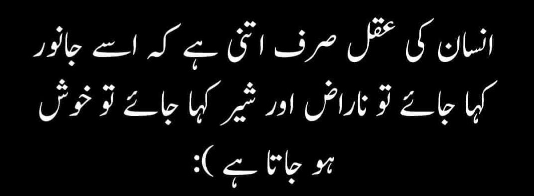 Rizwan (@rizwanamin222) on Twitter photo 