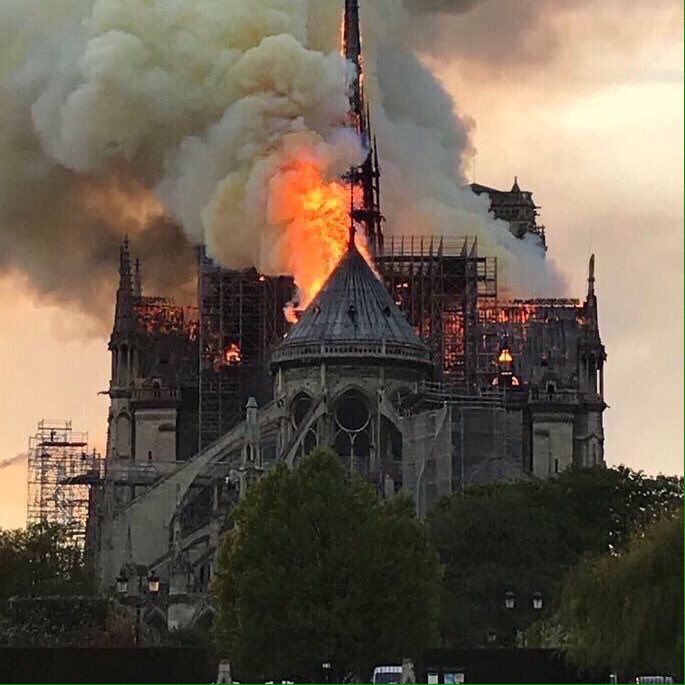 Gail,s Butterfly tweet media