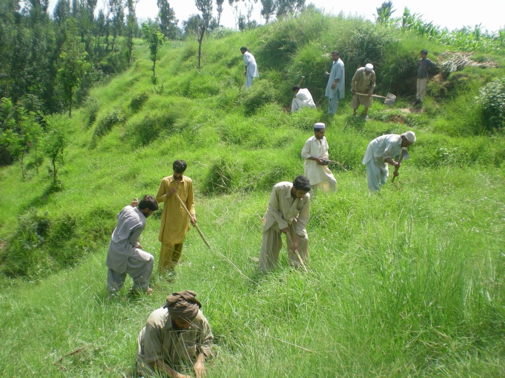 AwardPakistan's tweet photo. 1 million trees to fight Climate Change in Pakistan-Click on the link to learn more about the campaign

https://t.co/ybTLZLDGsI https://t.co/f3Hh6IvrrJ