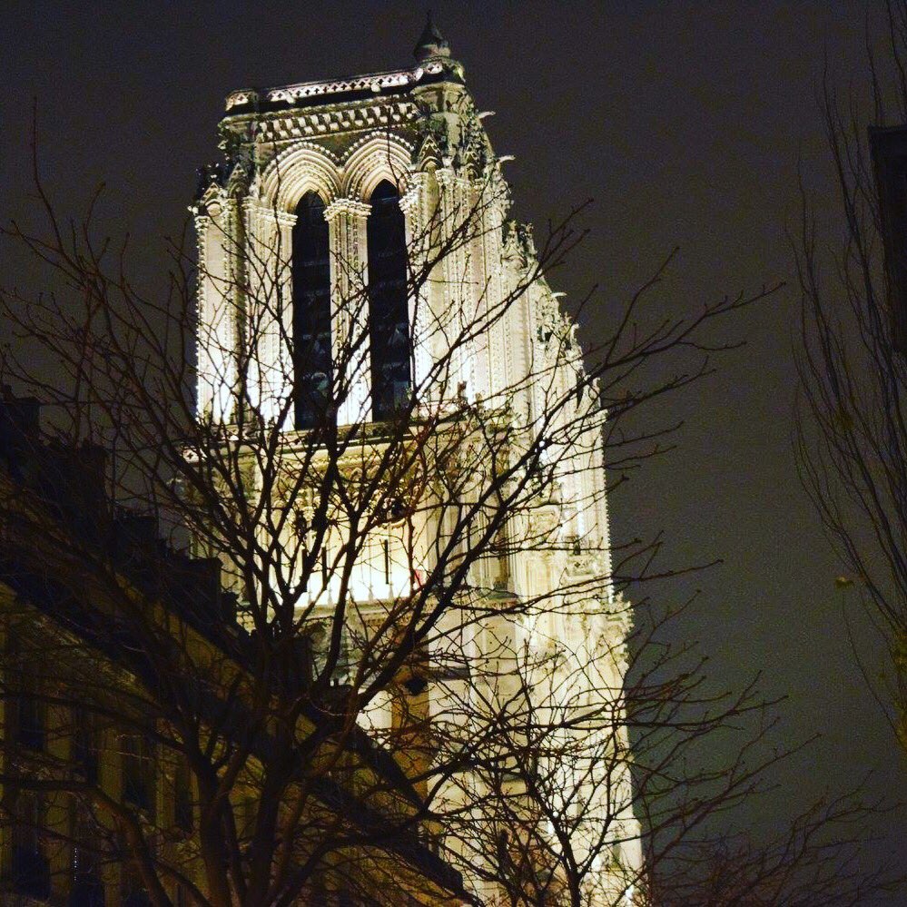Esisterà sempre un Quasimodo che aspetta la sua Esmeralda...💕 #NOTRE_DAME #notredameparis #notredame #paris #victorhugo