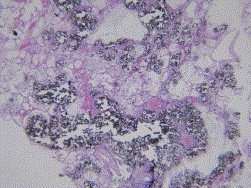 ACEP Members tweet media