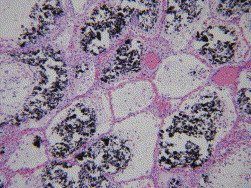 ACEP Members tweet media