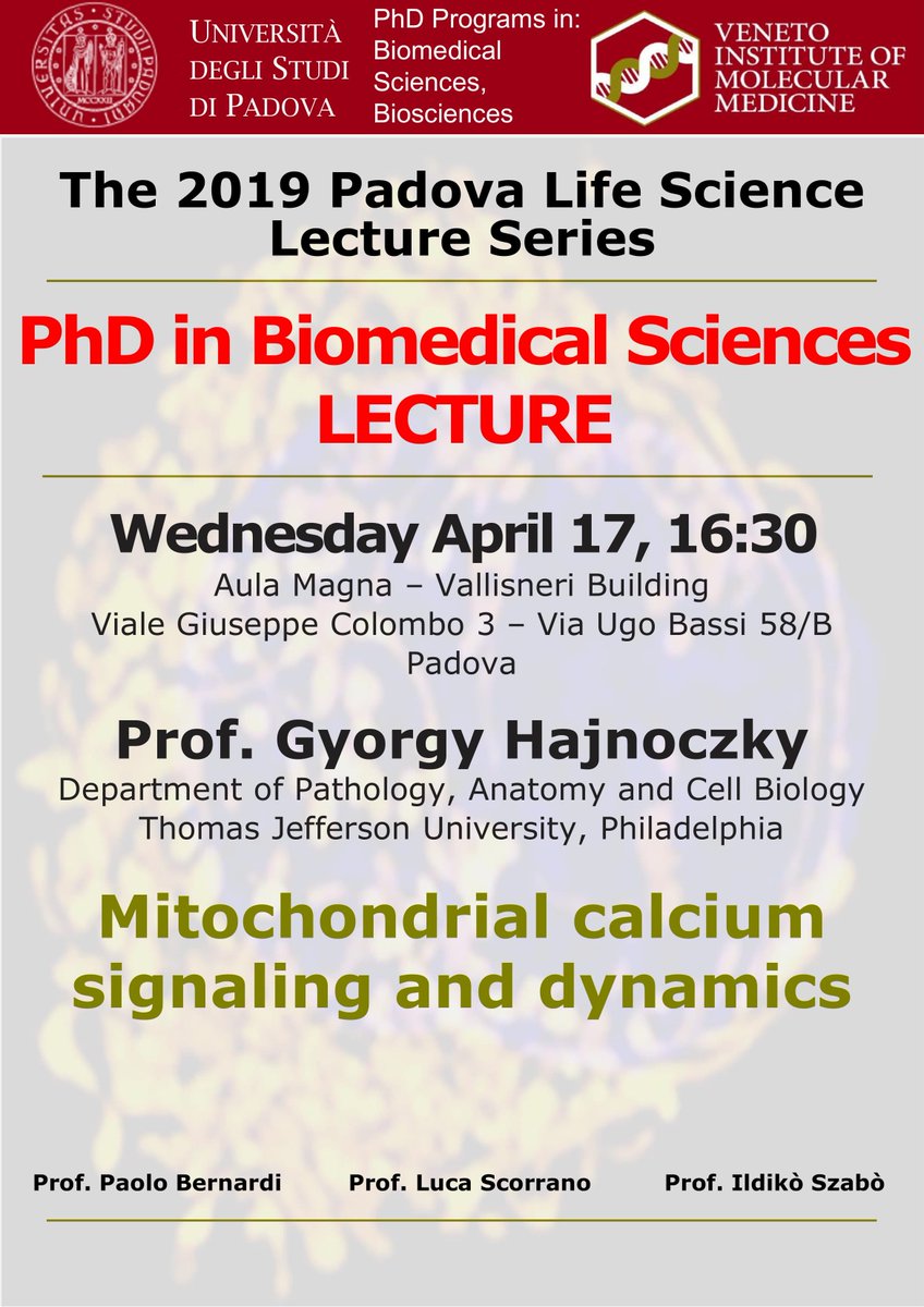 Prof Hajnoczky will be speaking at 16:30 on April 17 @unipd Vallisneri to discuss his work on Mitochondrial calcium signaling and dynamics... join the discussion and support #2019PadovaLifeScienceLectureSeries