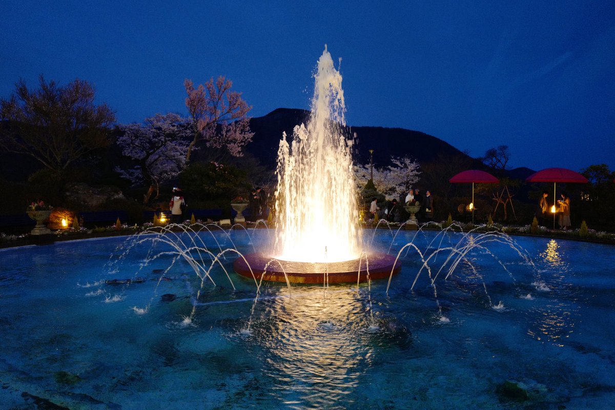 JoeTrivisvavet's tweet photo. เดินเล่นจับโปเกมอน...แต่ดันมาเจอสิ่งนี้😍✨✨✨#hakone #gorapark #springnightgarden https://t.co/JflPaKIuos
