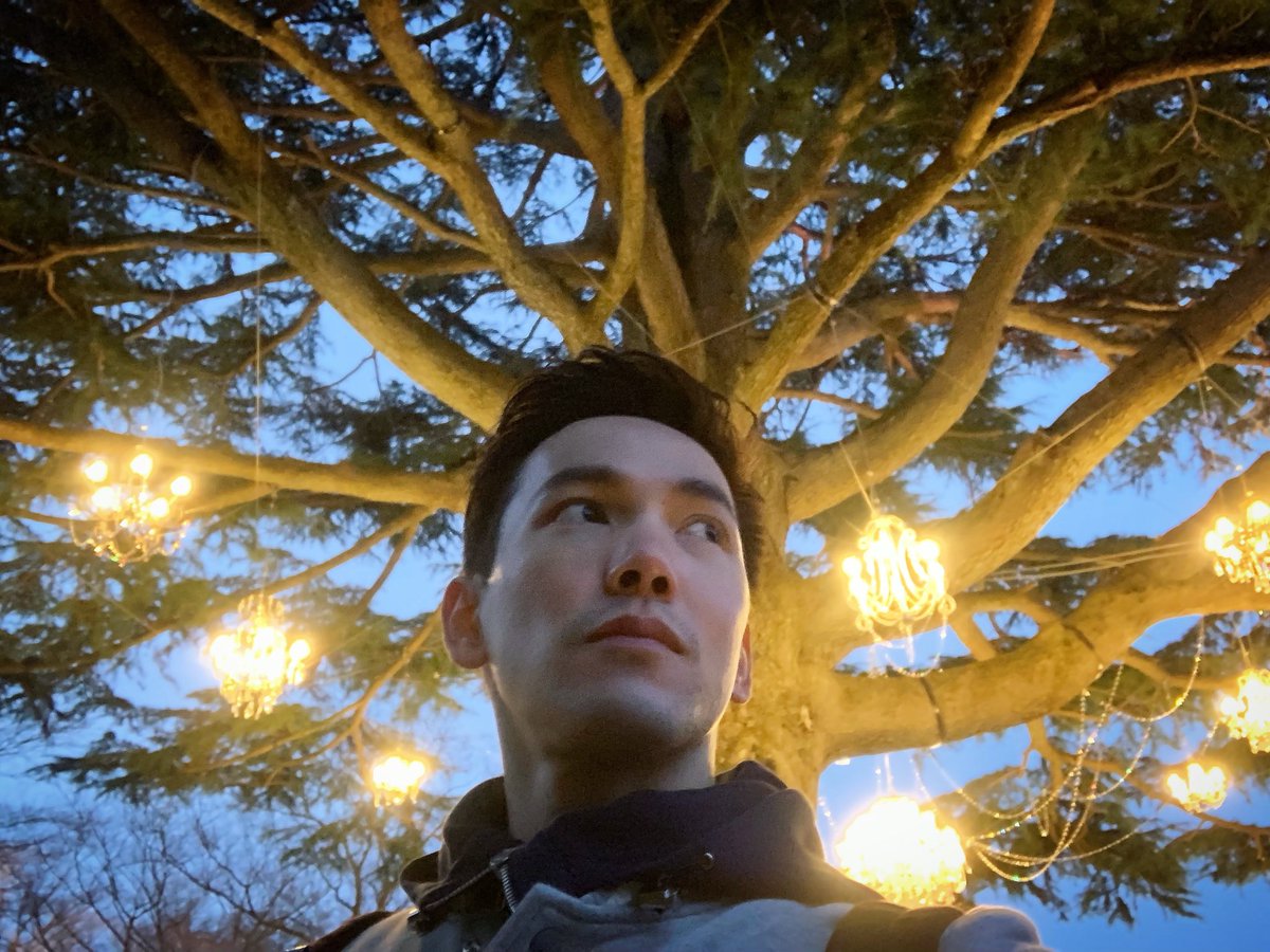 JoeTrivisvavet's tweet photo. เดินเล่นจับโปเกมอน...แต่ดันมาเจอสิ่งนี้😍✨✨✨#hakone #gorapark #springnightgarden https://t.co/JflPaKIuos
