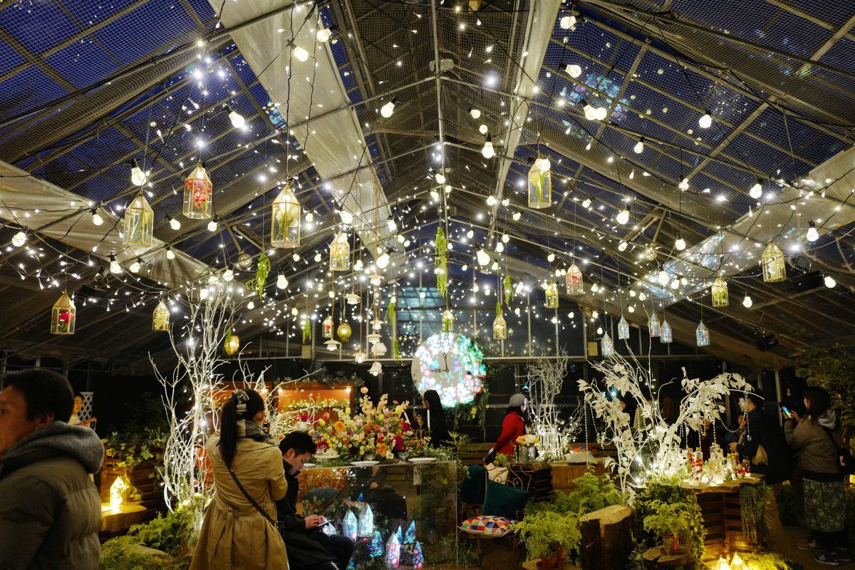 JoeTrivisvavet's tweet photo. เดินเล่นจับโปเกมอน...แต่ดันมาเจอสิ่งนี้😍✨✨✨#hakone #gorapark #springnightgarden https://t.co/JflPaKIuos