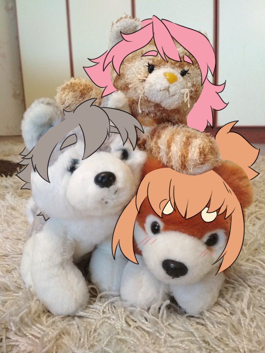 ACPSNT's tweet photo. Just imagine having plushies of Shiba, Husk, and Kath! They'd look like this! 😍

#alleycat #alleycatparadise #sanneotales #anime  #cute #kawaii #adorable  #comic #comicstrip #comedy #humor #cat #dog #inu #husky #shibainu  #plush #plushie #StuffedAnimals #stuffedtoys #stuffedtoy https://t.co/hp3UNd1lxq