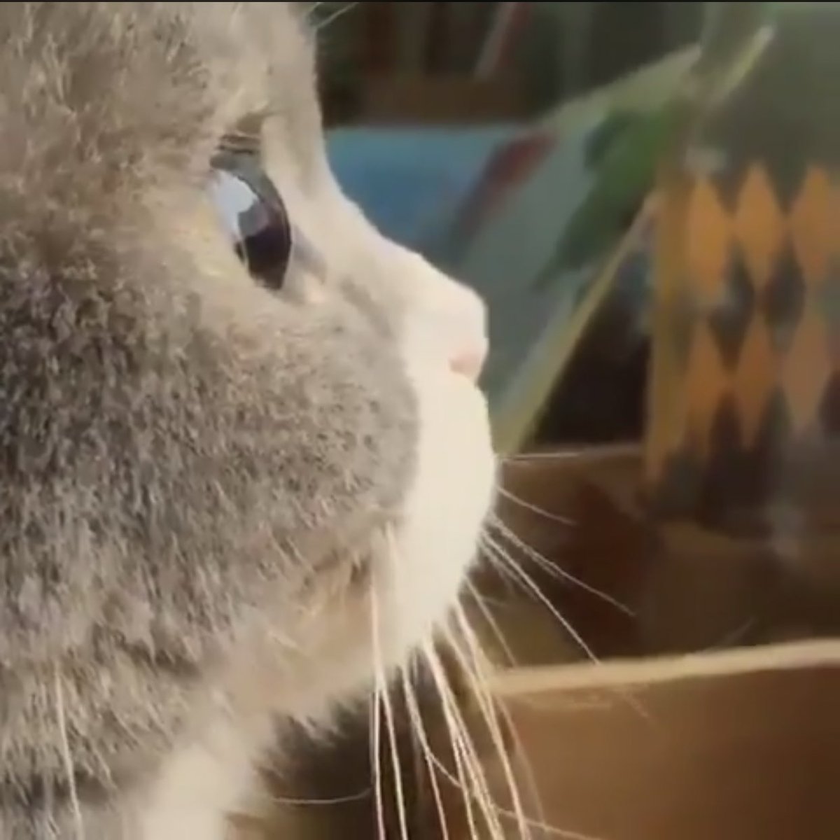 이거 라이관린 (@this_is_kuanlin) on Twitter photo 