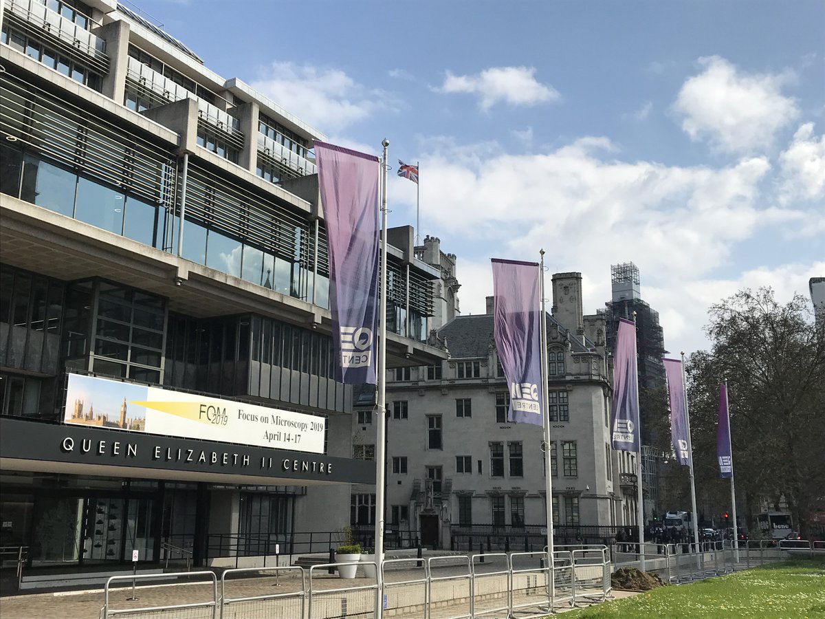 zeiss_micro's tweet photo. We are at #FOM2019 in London, presenting the new ZEISS LSM 9 Family with Airyscan 2! We are happy to answer all your questions concerning the LSM 9 family and Multiplex imaging. Visit us at booth #17-18 and reserve your slot for a demo.

@FOMconferences #lsm9 #zeiss_multiplex https://t.co/XgtCs11RZQ