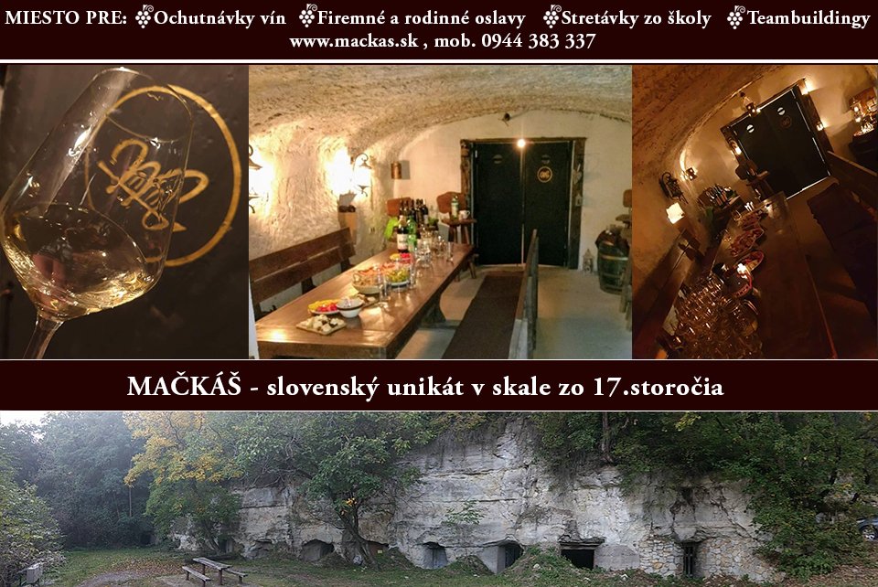 wine_mackas's tweet photo. Slovenský unikát MAČKÁŠ zo 17.storočia #relax #priroda #vino #vinoteka #dudince #zazitok #slovensko #oslavy #unikatnevino #vynimocnevino https://t.co/8eTxkziNTb
