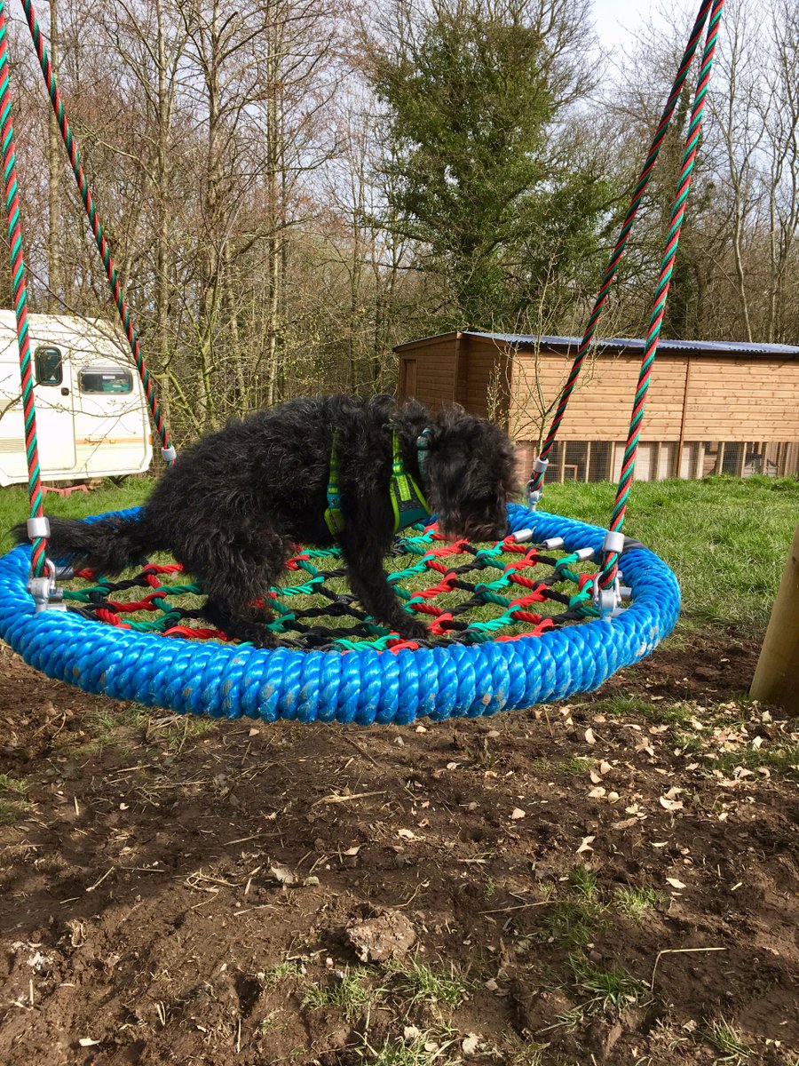 Quality control approved... #playgrounds #basketswing #labradoodle