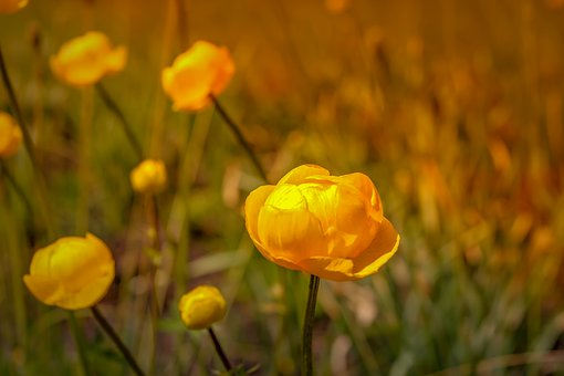 christinedoura1's tweet photo. Good morning everyone! Wishing you all a happy Tuesday filled with laughter!
                       💛🌻💛🌻💛🌻💛🌻💛🌻💛🌻💛 https://t.co/5g5aW1criT